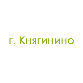 г. Княгинино (0)